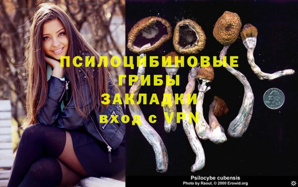 спайс Нея