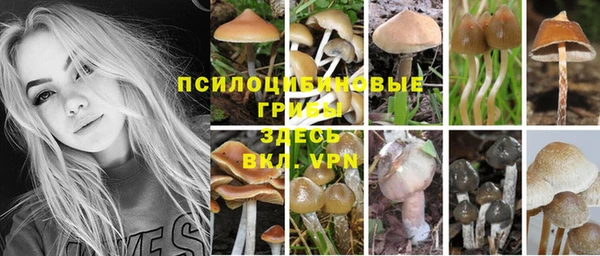 первитин Богданович