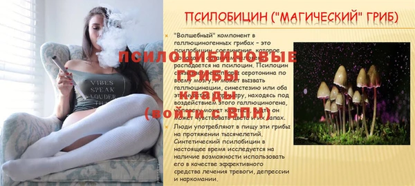 амфетамин Надым