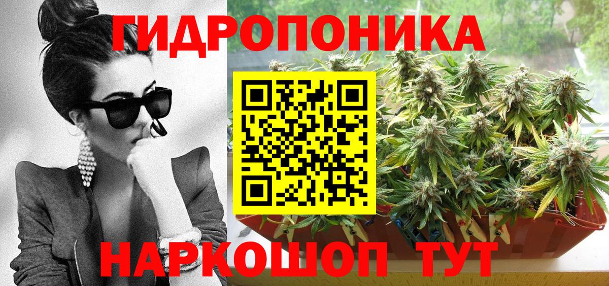 Канабис планчик Находка